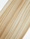 Light Honey Blonde Straight 22” Inches 7 piece Premium quality - HD Fibre Clip-In Hair Extensions